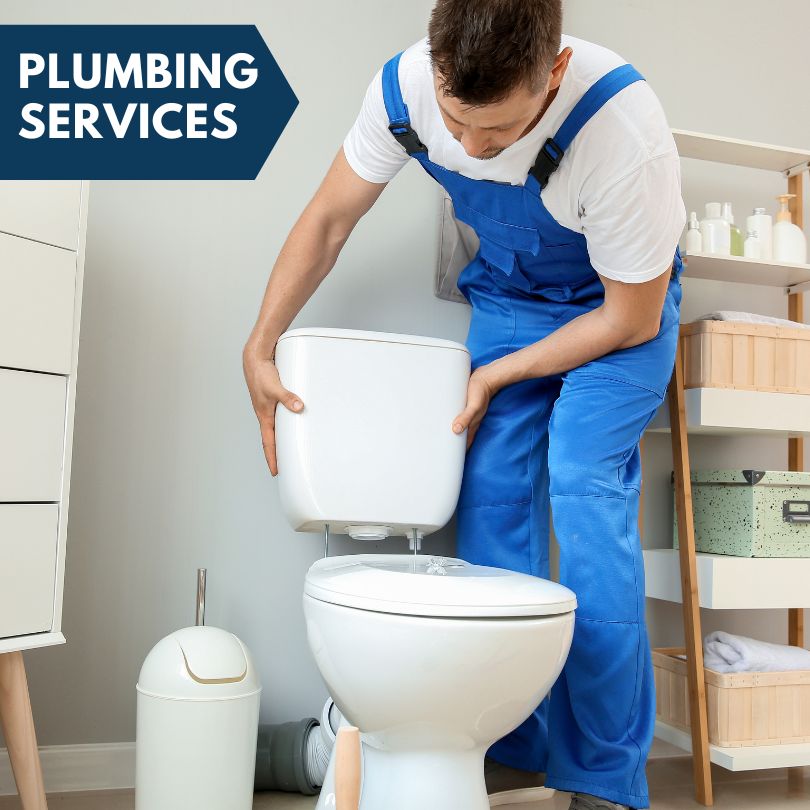 Plumbing Company in Schurz, NV